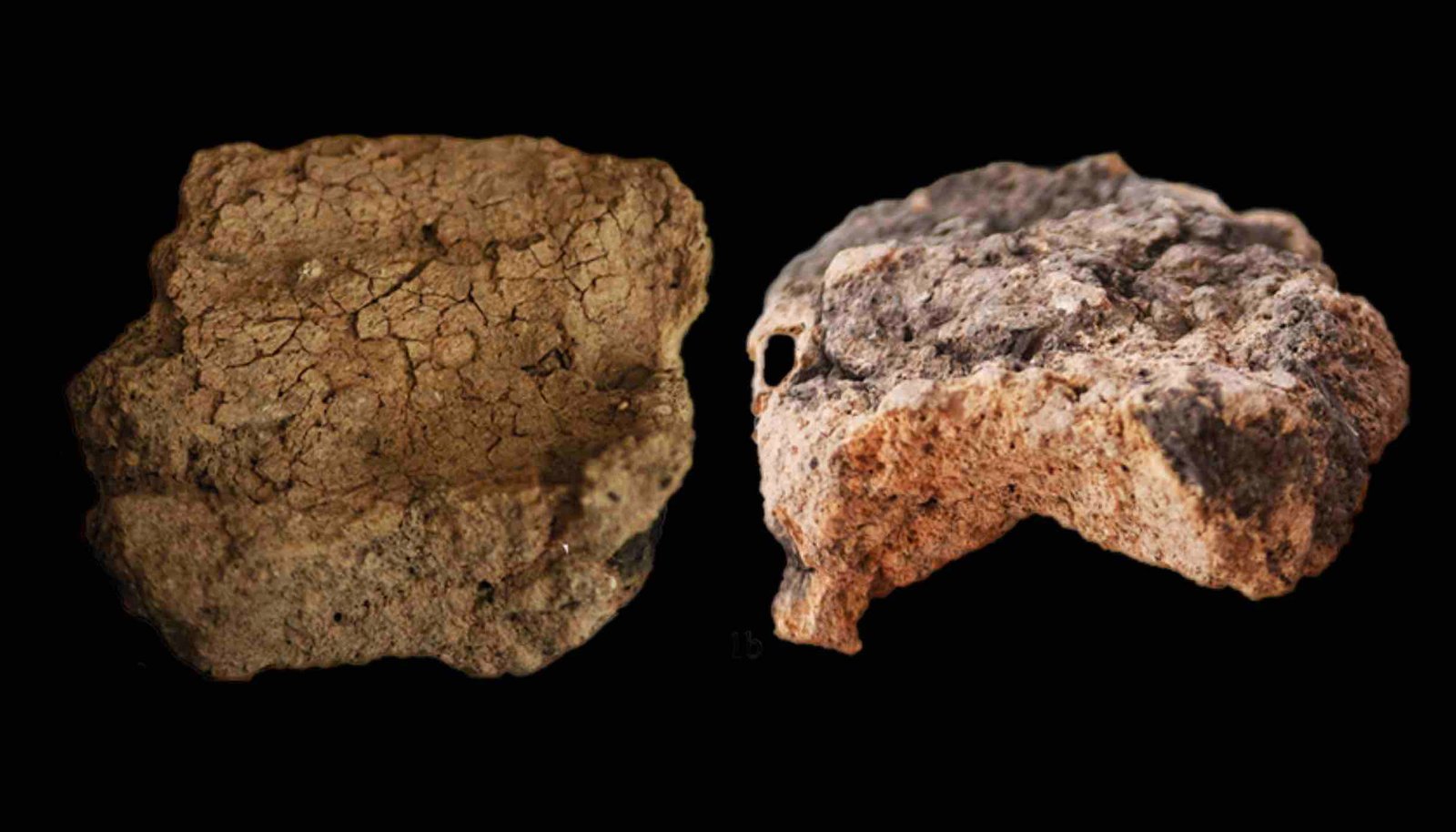 Novas Evidências de 11.500 Anos Reconfiguram a Origem da Cerâmica no Sudoeste Asiático