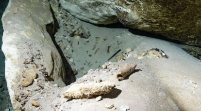 Desvendando o Passado Submerso: Nova Metodologia Aprofunda Compreensão sobre Megafauna Extinta em Cavernas Subaquáticas Australianas