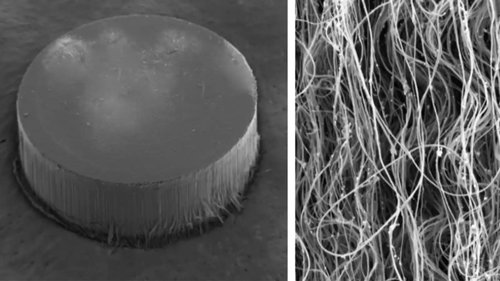Cientistas Criam Espuma de Nanotubos de Carbono com Memória Mecânica ‘Inesquecível’