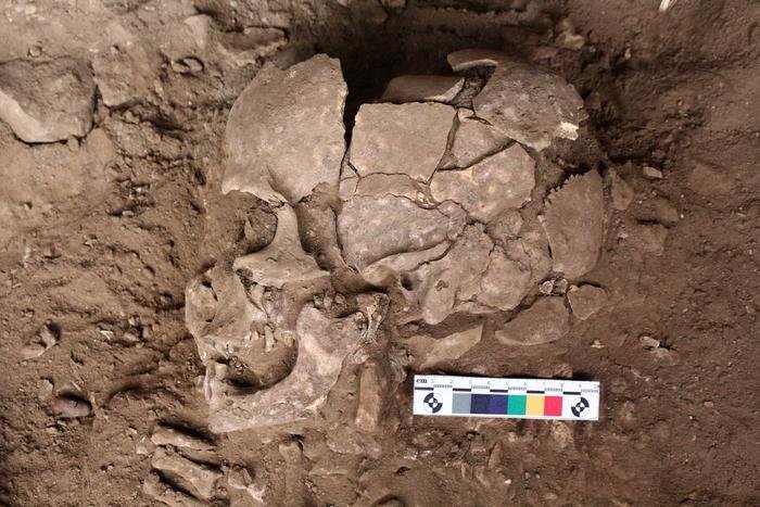 Descoberta Inédita: Uso de Drogas Humanas Recua 25.000 Anos, Transformando a Pré-História
